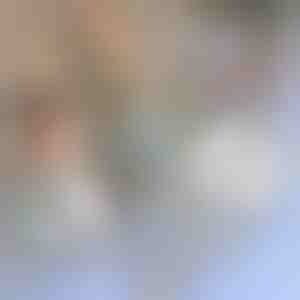 Lente odu tīklu labošanai | INSECTAPE