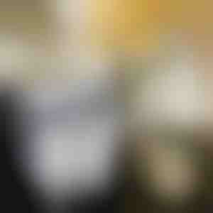 Saliekamā virtuves atkritumu urna | FLEXBIN