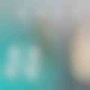 Piesūcekņu āķi (4 gab.) | QUICKGRIP