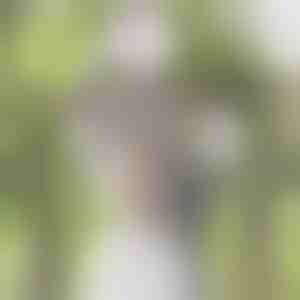 Mākslīga vistērija ziedu vīnogulājs | WISBLOOM