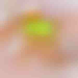 Mājdzīvnieku kopšanas un tīrīšanas cimdi | FURMITTS