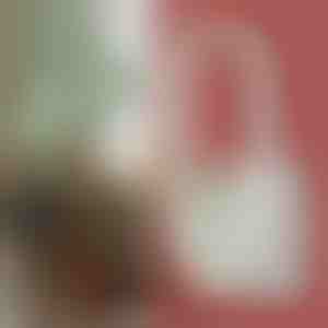 Frekvences pārveidošanas ultraskaņas moskītu iznīcinātājs ar LED miega gaismu | ANTIMOSI