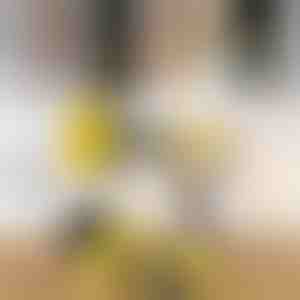 Jaudīgs urbja tīrīšanas birstu komplekts (3 gab.) | DRILLBRUSH