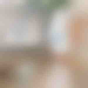 Elektriska, rotējoša tīrīšanas birste | ROTOBRUSH