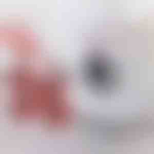 Mēbeļu pārvietošanas komplekts ar 4 slīdņiem un pacēlāju | LIFTROLLERS