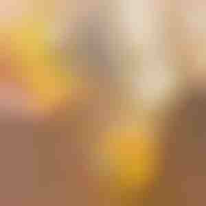 Olu čaumalu atvērējs | YOLKIE