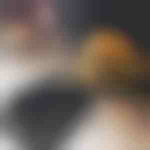 Hamburgeru pīrāgu pagatavošanas ierīce | BURGIPRESS