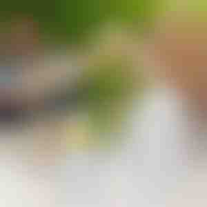 2 in 1 silikona ledus bumbiņu pagatavošanas pudele | FREEZBALL