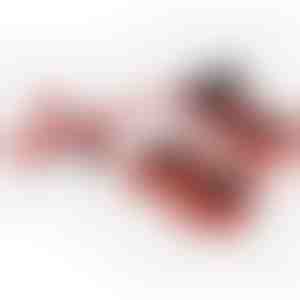 Mēbeļu pārvietošanas komplekts ar 4 slīdņiem un pacēlāju | LIFTROLLERS