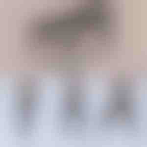 Daudzfunkcionāls pilates stienis | TONEBAR