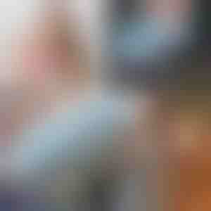 Mājdzīvnieku matu noņemšanas birste 2 in 1 | ALLFUZZ