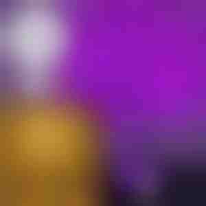 Mirgojošs gaismas koks | BLISSTREE