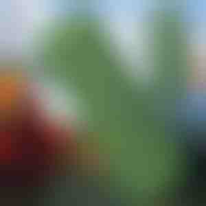 Īpaši viegls kempinga matracis | BUBIMAT