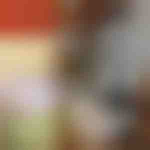 Manuālais dārzeņu smalcinātājs | CHOPSTER