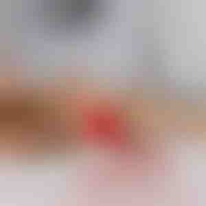 Mājdzīvnieku rotaļlieta, kas kustas pēc pieskāriena | GATOPLAY