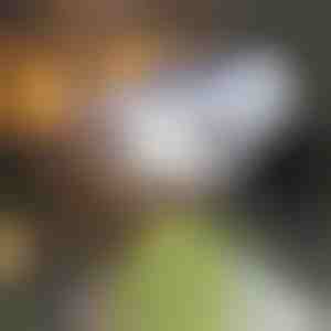 Kustības sensora saules tālskatis | LUMACAM