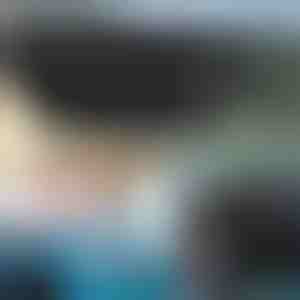 Automašīnas vējstikla saulessargs SHADESHELLA