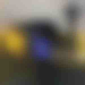 Āra lampa pret odiem (2 gab.) | SOLARBUZZ