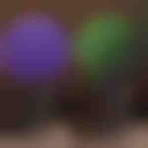 Dekoratīva augu bumba | TOPIORB