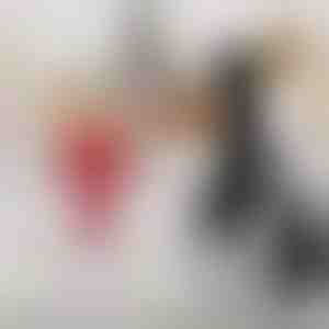 Saldējuma gatavotājs | FROSTMASTER