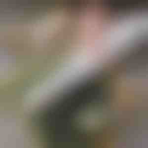 Viegli lietojams suši rullītis mājās | SUSHROLIO