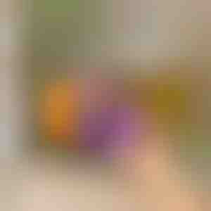 Ledusskapja organizators ar automātisku slīdēšanu | DRINZER