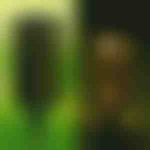 Decoratove Saules lampa (2 gab.) | GARDENIAS