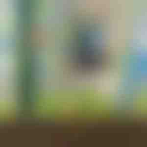 8 GABALU LAISTĪŠANAS KOMPLEKTS | PLANTDROPS