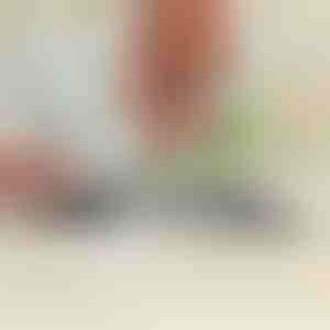 Daudzfunkcionāls asinātājs dārza instrumentiem un virtuves nažiem | SHARPNINJA