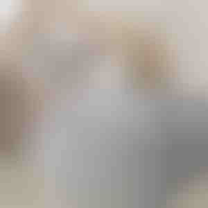 Vietu taupošs paškompresijas organizators | PACKMAX