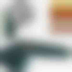 Ierīce savēlumu noņemšanai no auduma | FUZZOFF