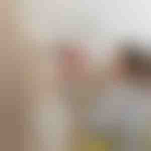 Elektriskais krāsas smidzinātājs | PAINTJET