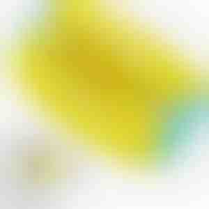 Mikrošķiedras maiss apavu mazgāšanai | SHOEPURE